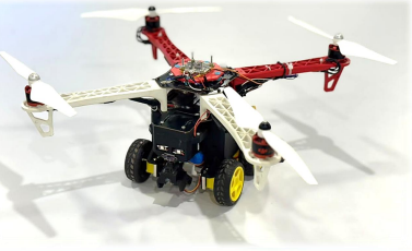HawkRover: The Air-Ground Sentinel for Real-Time Remote  Surveillance