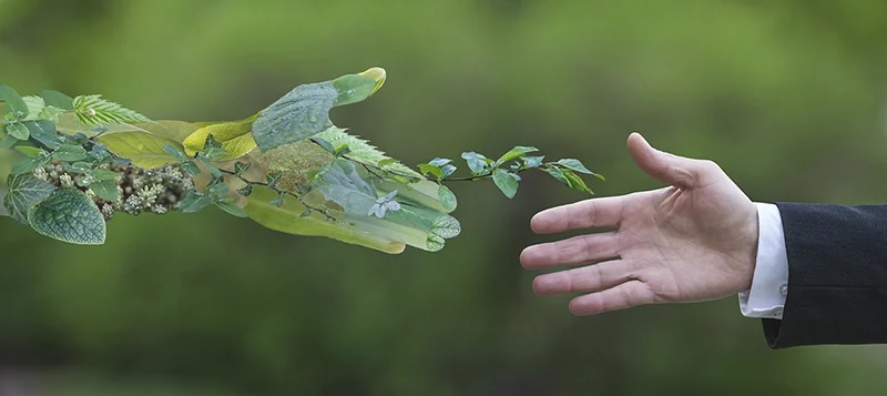 Role of Urbanisation & its impact on Sustainable Development